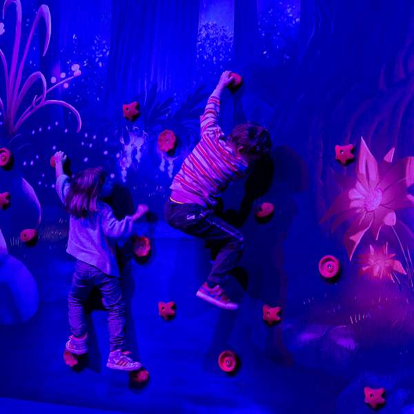 The Smurf Experience