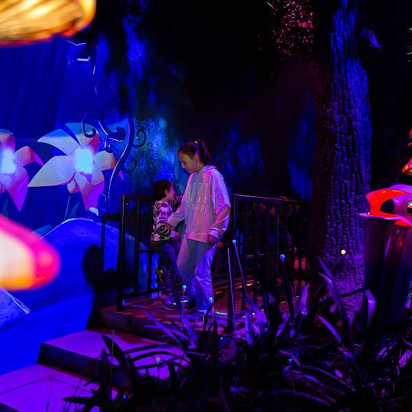 The Smurf Experience